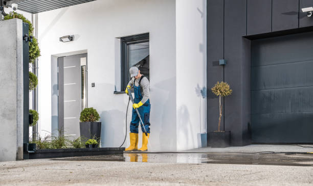 Best Dumpster Area Cleaning  in Obion, TN